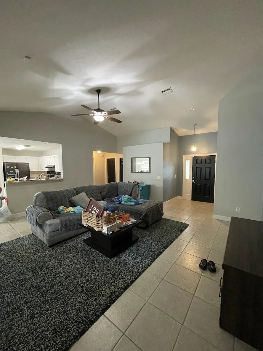 Kitchen & Living Room Wall Painting Project